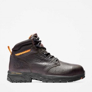 Timberland Ballast Maro | SN-TBL45731