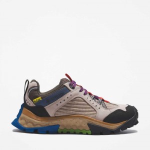 Timberland Bee Line Colorati | SN-TBL46380