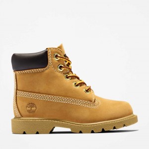 Timberland Classic 6 Inch Maro | SN-TBL46627