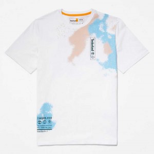 Timberland Graphic Albi | SN-TBL46148