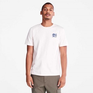 Timberland Photographic Albi | SN-TBL46095