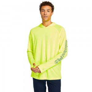 Timberland Timberland Pro® Galbeni | SN-TBL45972